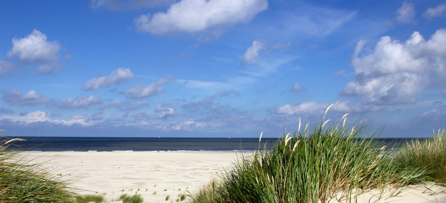 Weißer Sandstrand an der Nordsee, im Vordergrund rechts eine Düne mit Strandhafer, dahinter das Meer unter blauem Himmel mit Quellwolken
