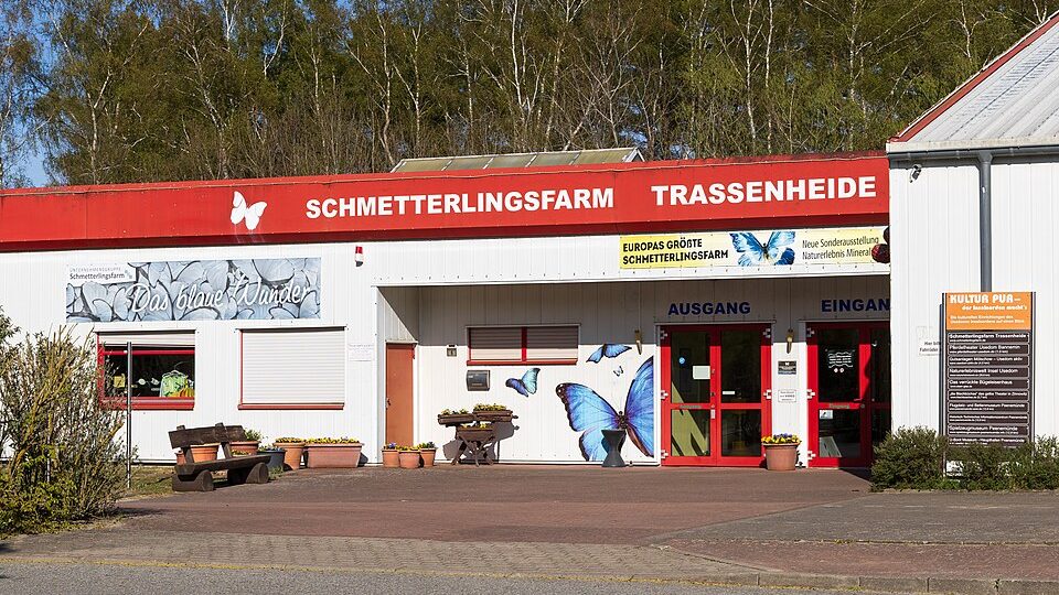 Schmetterlingsfarm in Trassenheide auf Usedom