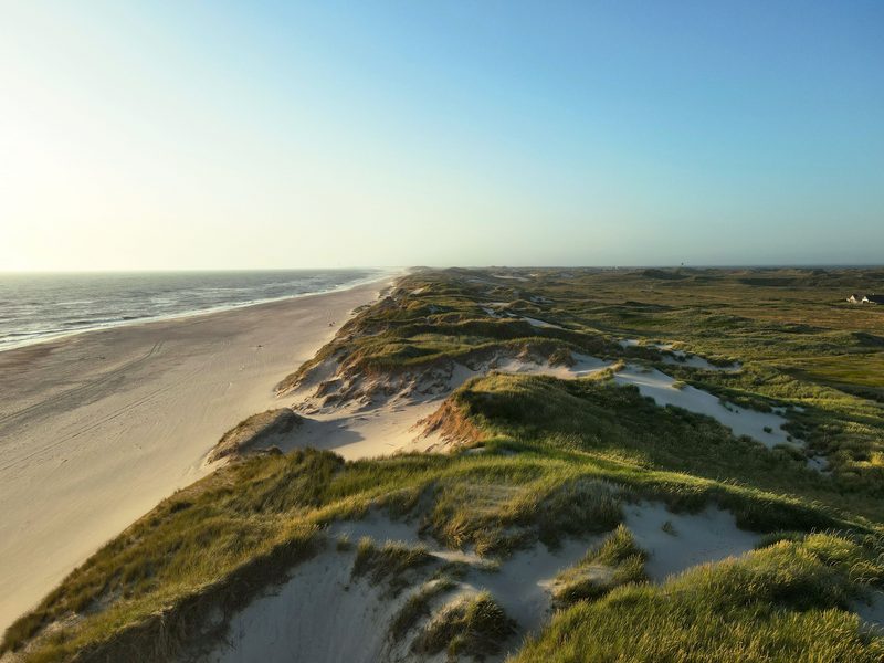 Weiter Sandstrand an der jütländischen Nordseeküste bei Hvide Sande, davor ein hoher Dünenkamm mit Strandhafer im Abendlicht — zeigt nicht den genannten Ort