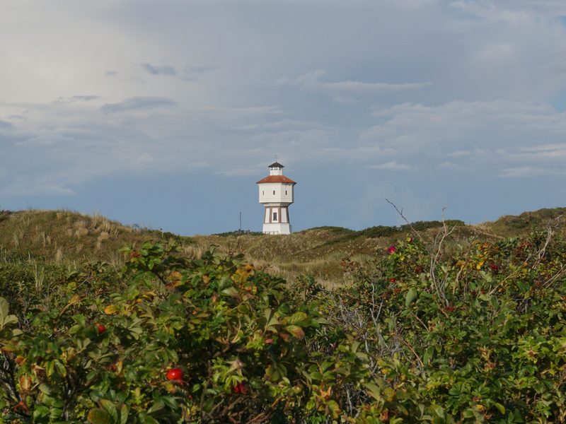 Der historische Wasserturm von Langeoog erhebt sich hinter einem Dünenkamm mit Hagebuttensträuchern
