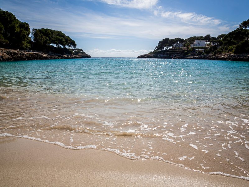 Eine Badebucht auf Mallorca: flach auslaufender Sandstrand, türkises Wasser und zwei bewaldete Felsvorsprünge, die die Bucht zum offenen Meer hin fassen